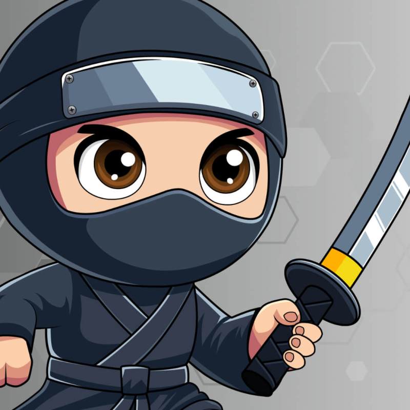 CUTE NINJA